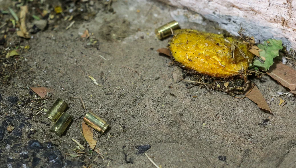 Cápsulas encontradas próximas ao corpo
