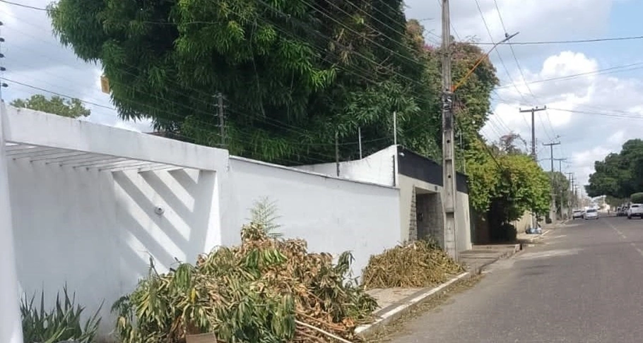 Coleta de material oriundo de podas na zona leste de Teresina