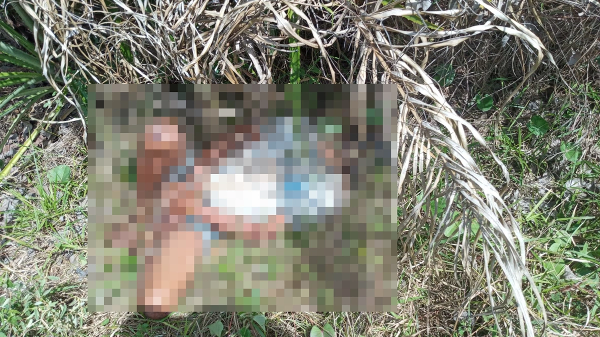 Corpo foi encontrado em um matagal