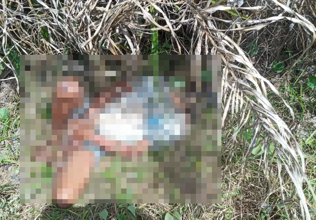 Corpo foi encontrado em um matagal