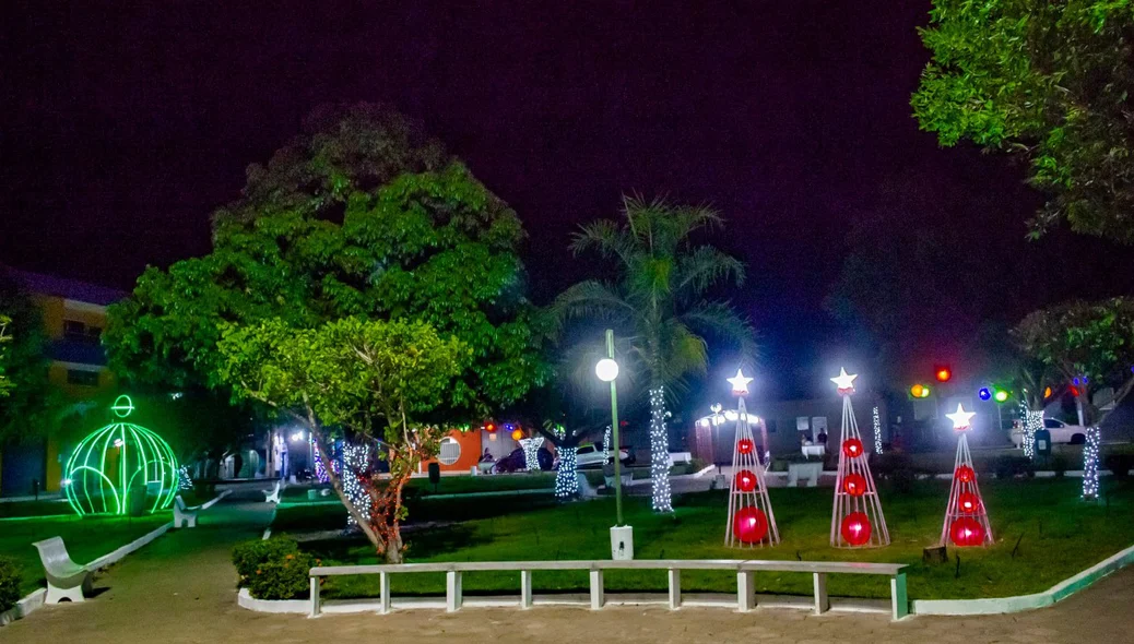 Decoração conta com uma grande variedade de lâmpadas pisca-pisca, enfeites e o tradicional presépio