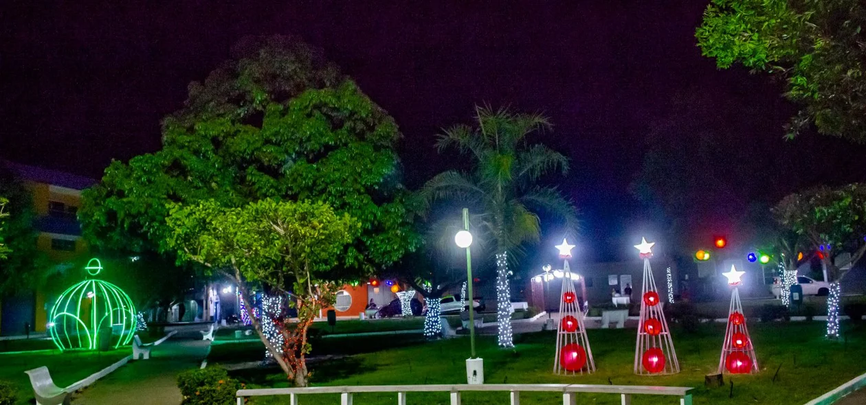 Decoração conta com uma grande variedade de lâmpadas pisca-pisca, enfeites e o tradicional presépio