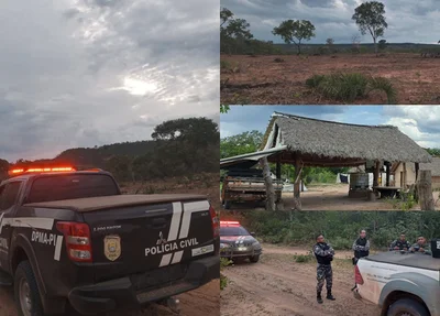 Desmatamento e grilagem de terras no Sul do Piauí
