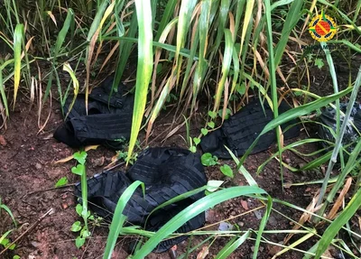 Explosivos encontrados em área de mata no Gama, Distrito Federal