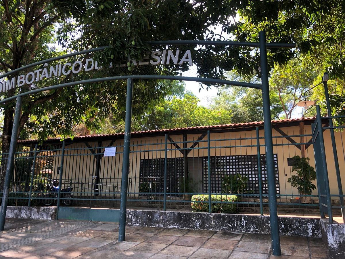 Jardim botânico