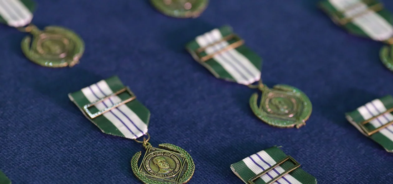 Medalha do Mérito Conselheiro Saraiva