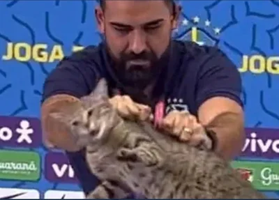 Momento em que Vinicius retira gato da mesa
