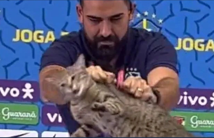 Momento em que Vinicius retira gato da mesa