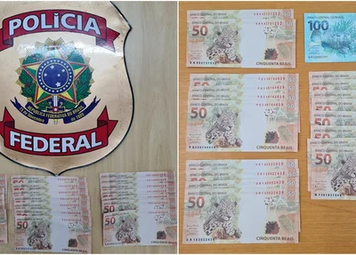Notas falsas apreendidas pela Polícia Federal