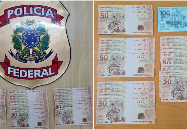 Notas falsas apreendidas pela Polícia Federal