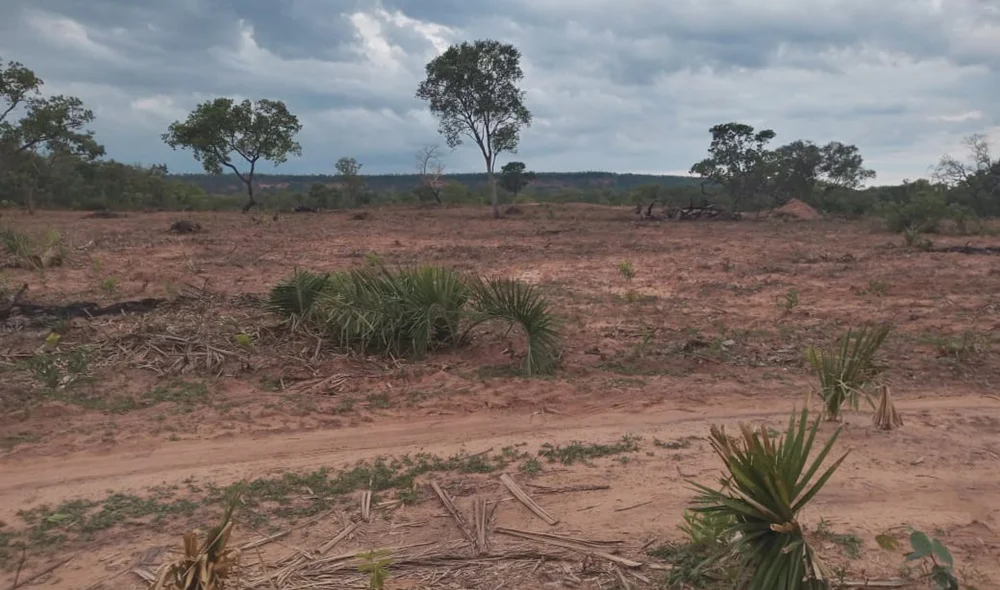Outro ângulo da área desmatada