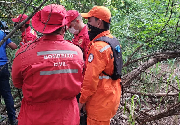 Equipes do Corpo de Bombeiros Civil também ajudaram