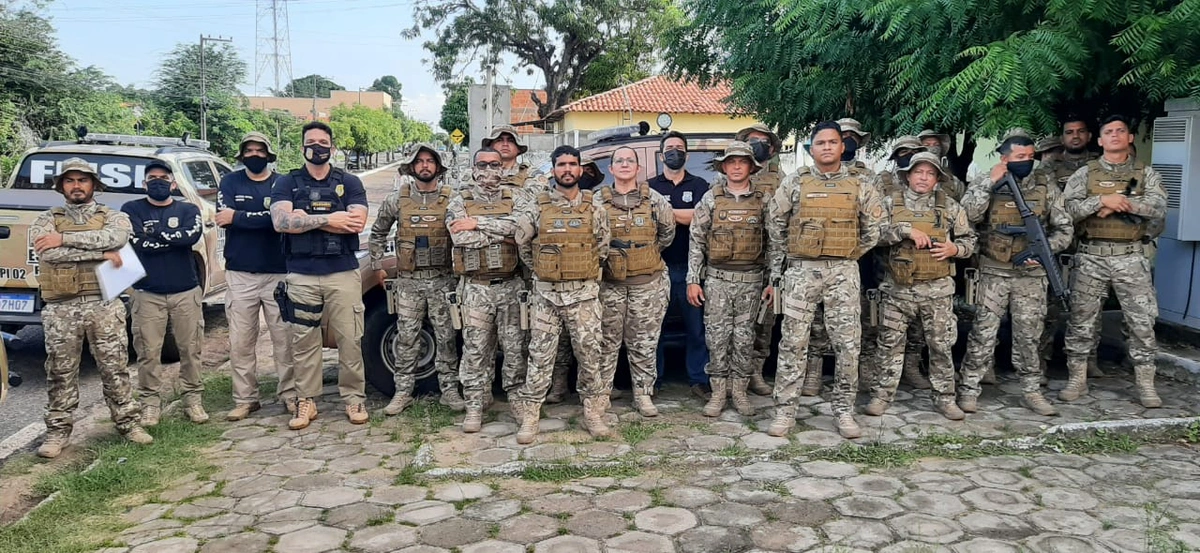 Força Estadual Integrada de Segurança Pública do Piauí