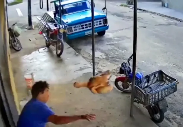 Homem atirando frango em ladrão