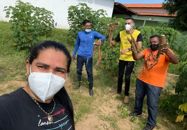 Horta comunitária em Floriano