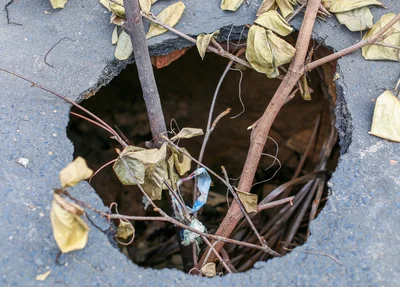 Moradores usam galhos de árvore para sinalizar buraco