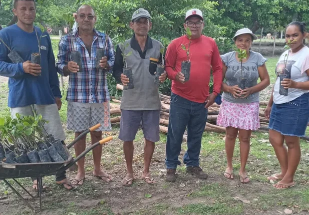 Prefeitura de Joaquim Pires entrega 4.000 mudas de caju aos agricultores familiares