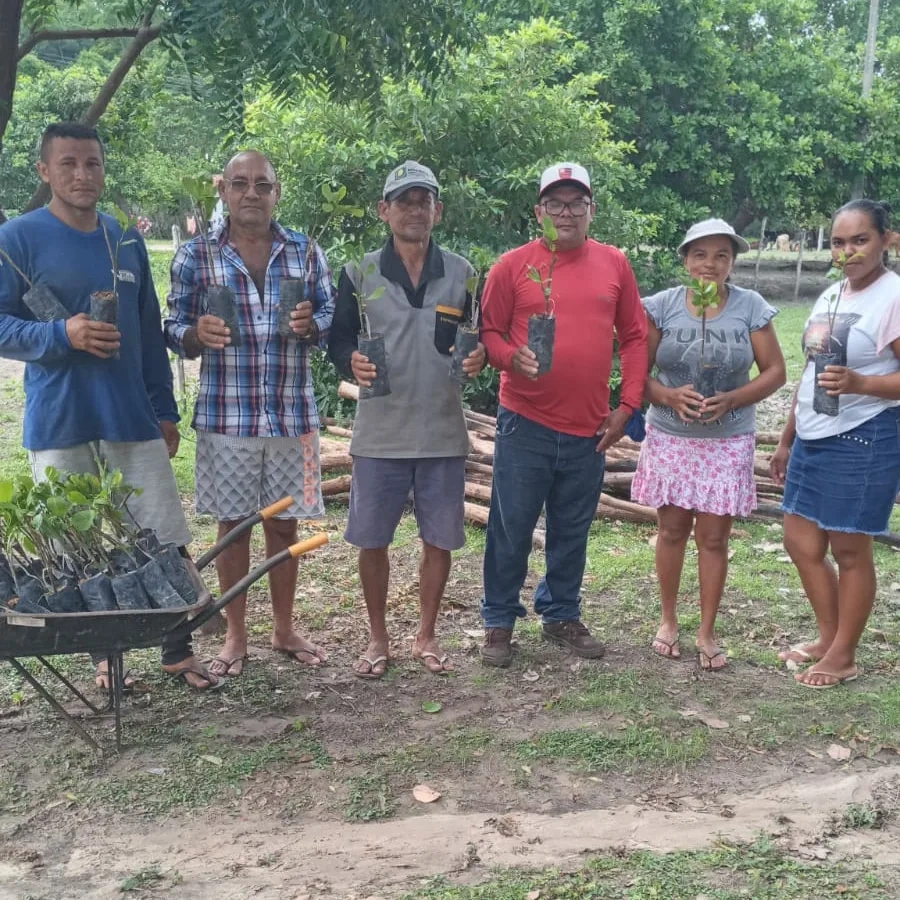 Prefeitura de Joaquim Pires entrega 4.000 mudas de caju aos agricultores familiares