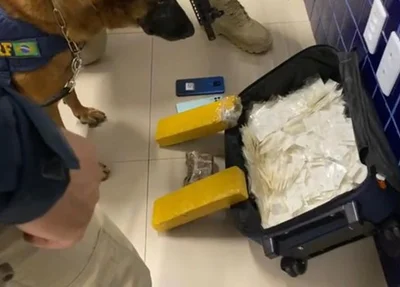 PRF apreende maconha e cocaína avaliadas em R$ 255 mil em Floriano