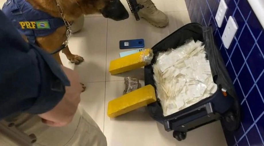 PRF apreende maconha e cocaína avaliadas em R$ 255 mil em Floriano