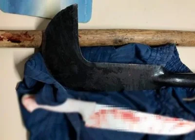 Armas utilizadas no crime