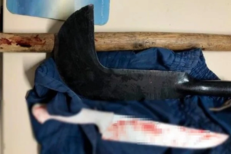 Armas utilizadas no crime