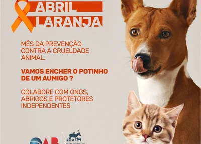 Campanha da OAB-Piauí