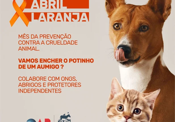 Campanha da OAB-Piauí