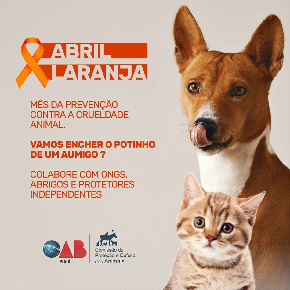 Campanha da OAB-Piauí