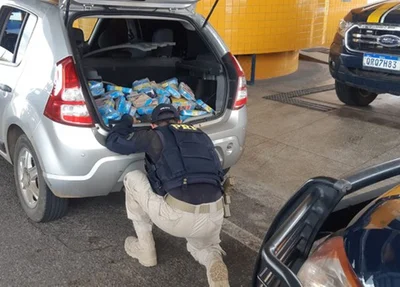 Cocaína apreendida pela PRF