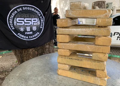 Força Tarefa apreende 20 quilos de maconha em Teresina