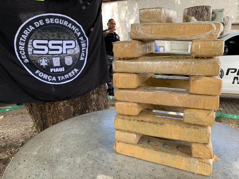 Força Tarefa apreende 20 quilos de maconha em Teresina