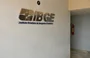 IBGE