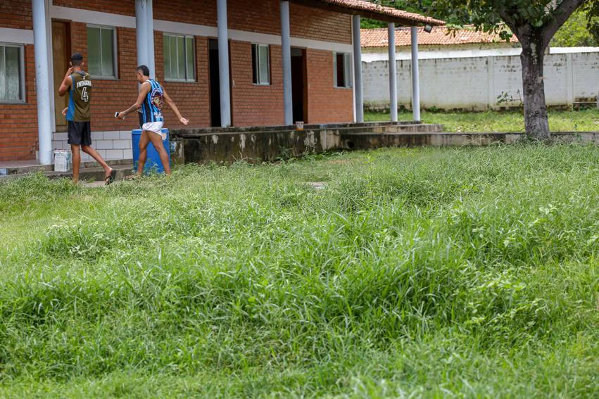 Matagal toma conta dos alojamentos