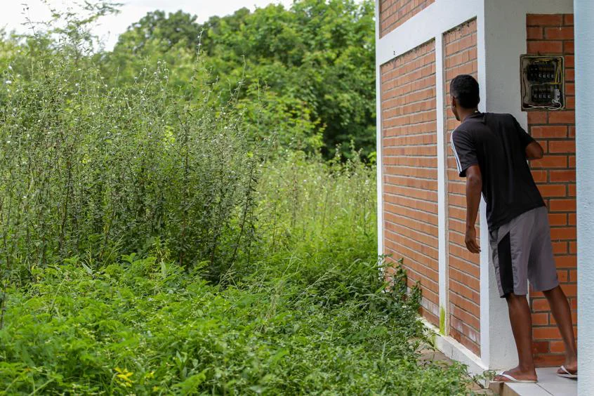 Mato cresce ao redor dos quartos