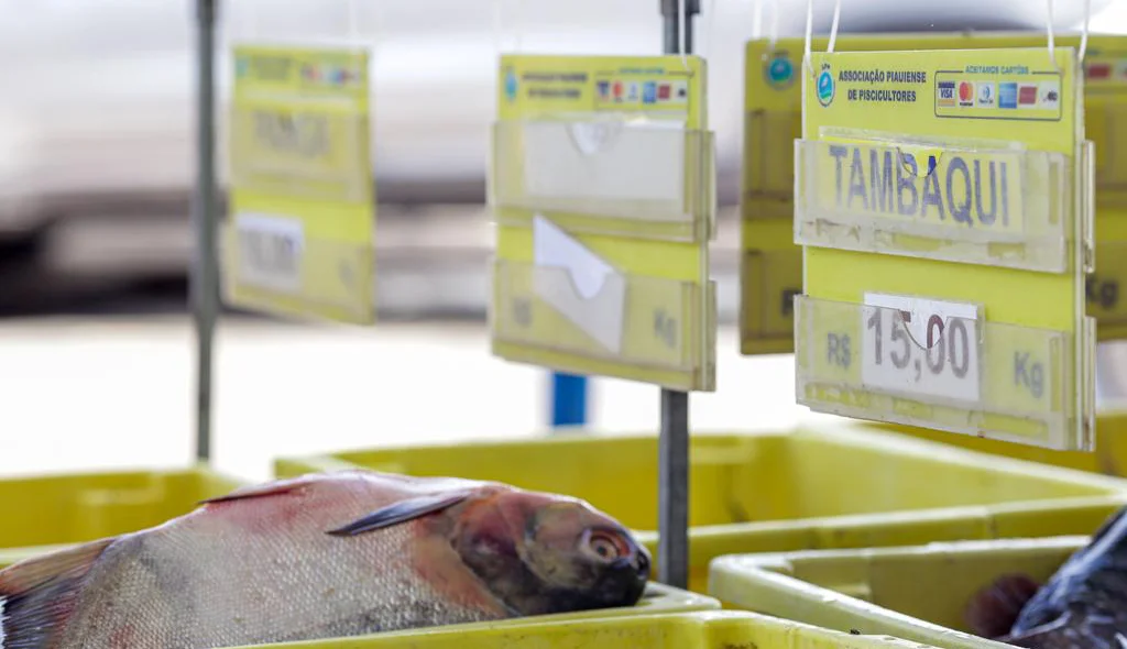 Mercado do Peixe