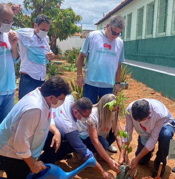 Mudas sendo plantadas em homenagem às vítimas da covid-19