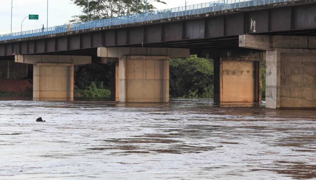 Ponte Wall Ferraz em Teresina