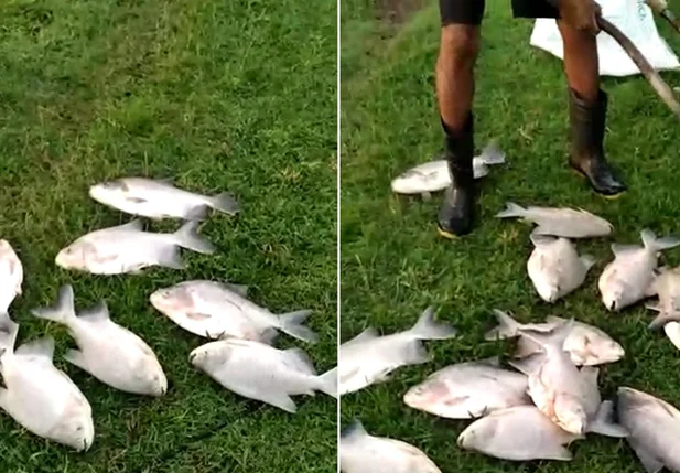 Produtor já perdeu quase 300 quilos de peixe