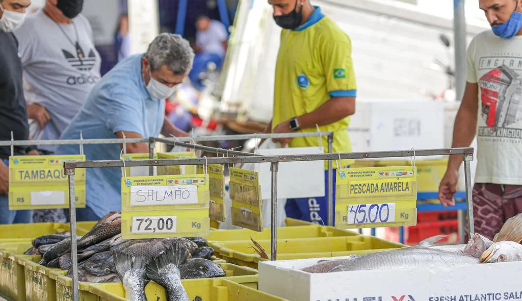 Salmão e pescada amarela