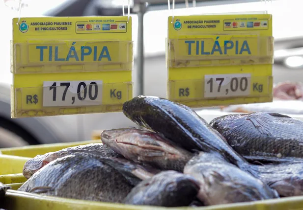 Tilápia também é um dos mais procurados