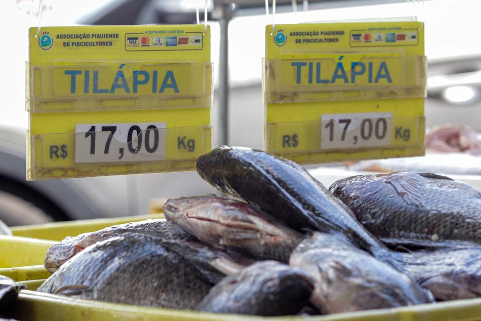 Tilápia também é um dos mais procurados
