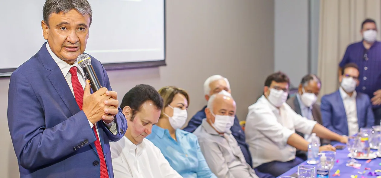 Wellington Dias discursa em evento do PSD