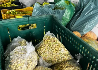 Alimentos adquiridos por meio de emenda parlamentar