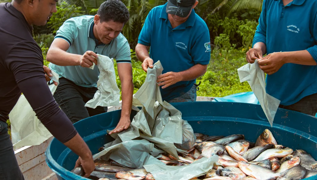 Cerca de 5 toneladas de peixe foram distribuídas para os miguelalvenses