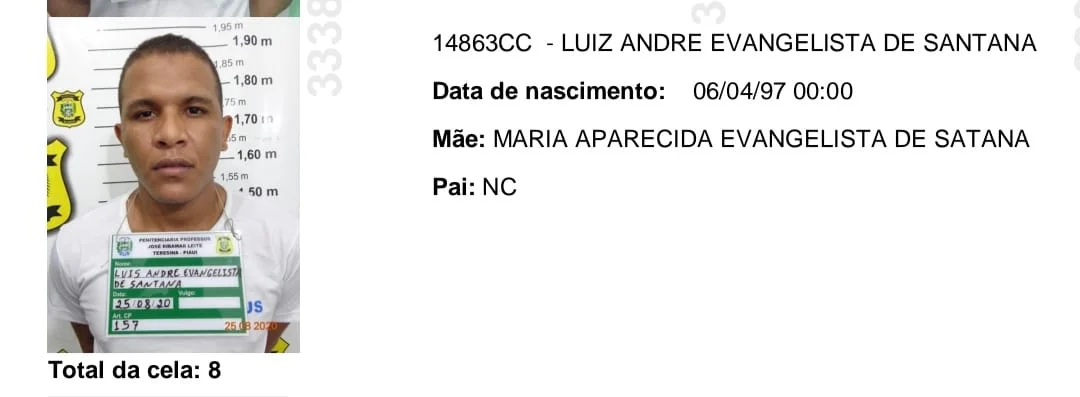 Luiz Andre Evangelista de Santana