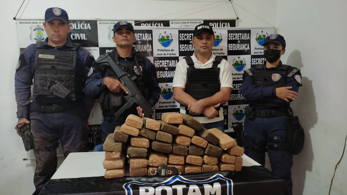 Maconha apreendida