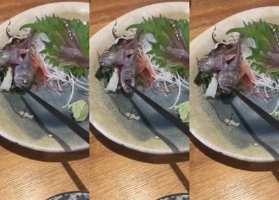 Prints do vídeo em que o peixe ataca o hashi do cliente em restaurante japonês