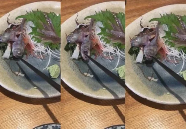 Prints do vídeo em que o peixe ataca o hashi do cliente em restaurante japonês