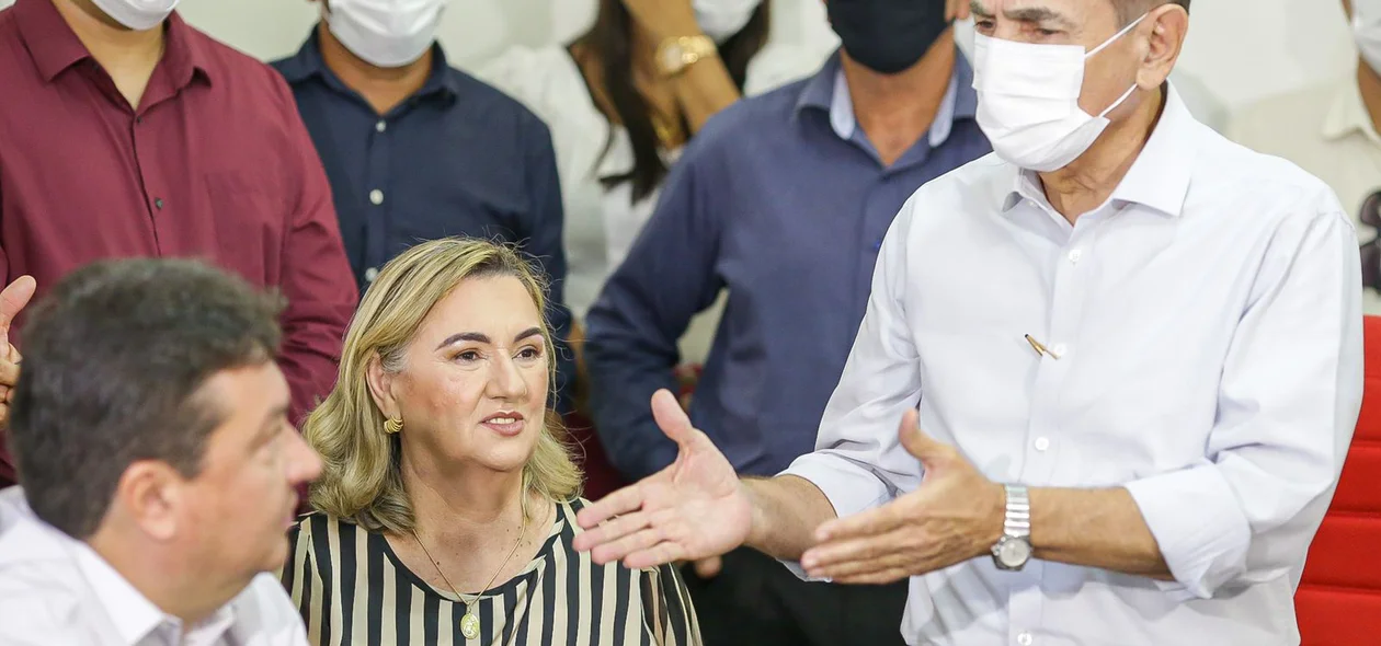 Senador Marcelo Castro durante seu pronunciamento